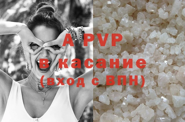 прущие грибы Орехово-Зуево