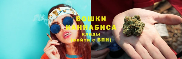 Альфа ПВП Лагань
