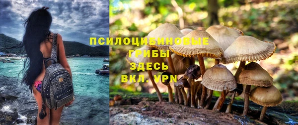 каннабис Ладушкин