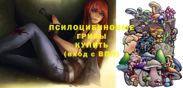 шишки Горно-Алтайск