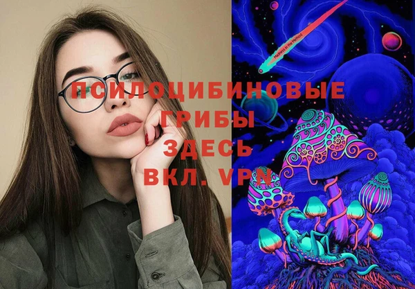 ГАЛЛЮЦИНОГЕННЫЕ ГРИБЫ Лабытнанги