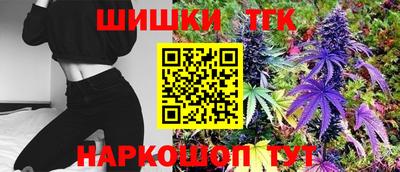 спайс Гай