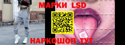 спайс Гай