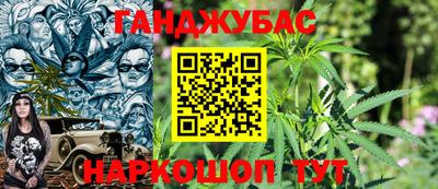 спайс Гай